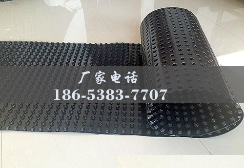 排水板廠(chǎng)家http://m.ynzsxk.com/