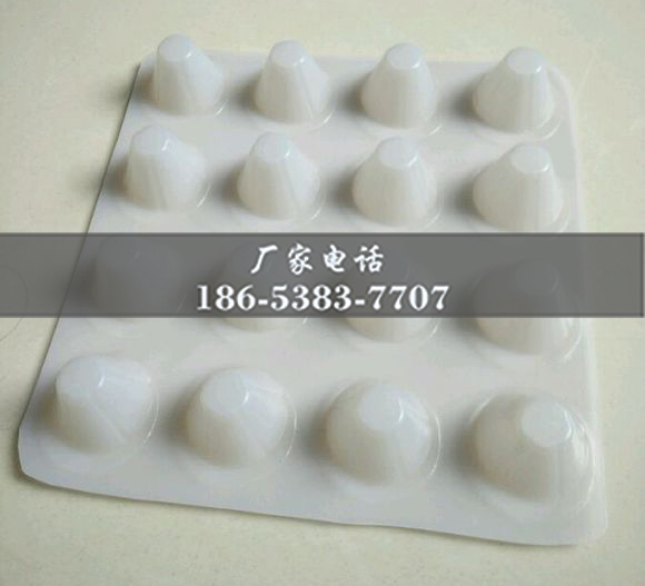 排水板廠(chǎng)家http://m.ynzsxk.com/